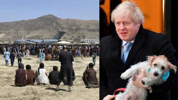 balkhab-boris-johnson-and-the-transfer-of-animals-from-afghanistan