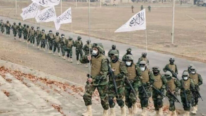 ارتش جدید ط-البان در حال تکمیل