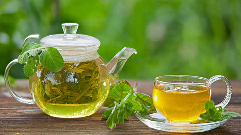 balkhab-چای-سبز